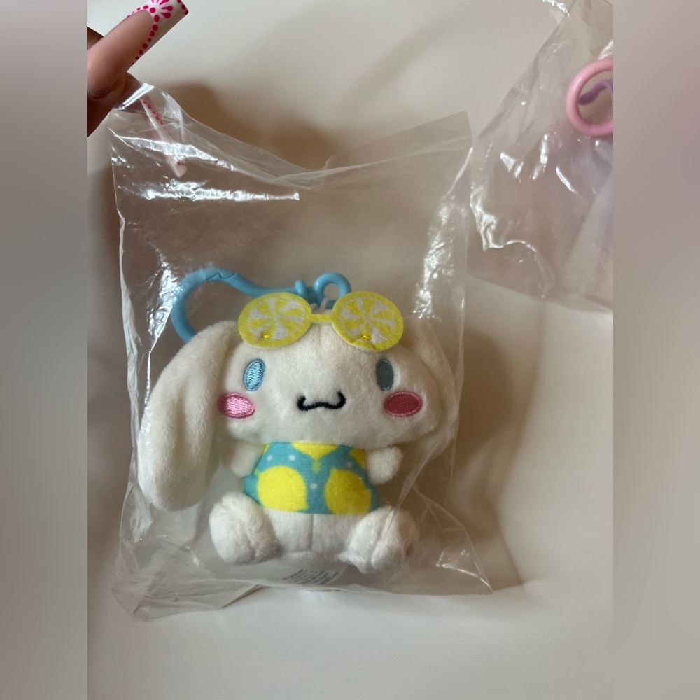 Brand new blind box cinnamon roll plushie in packaging